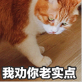 步钦铁