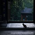程十四
