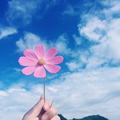 风炎归尘ly