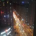 李家小麦