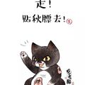 加菲猫zarathu