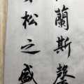 蓝齐儿