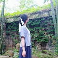 采蘋