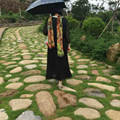 墨梓