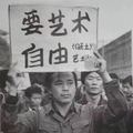 高等鹅