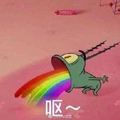 金灵Kim🍄