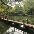 香草布丁