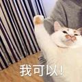 何俊燊