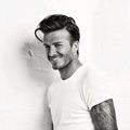 beckham817