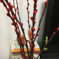 叁棵树