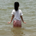 小白菜
