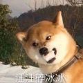 葡柚茶