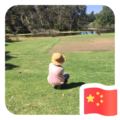 qin