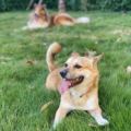miso&fun