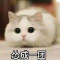 毛豆