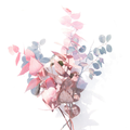 LinFR