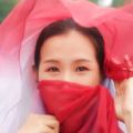 凤凰