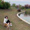 海小瓜