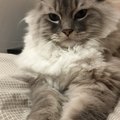 幸福在身边