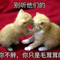 日光