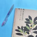小刺猬