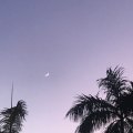 和弥丰