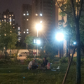 八点的蓝