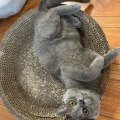 不想再流鼻涕