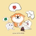 Ivy冰