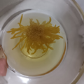 青叶子