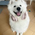 脑壳不疼随便版