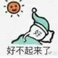 熊猫鸽子躺