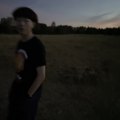 枫林小怪