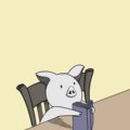 漩涡猫