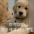 月初