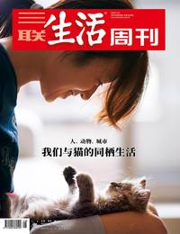 我们与猫的同栖生活