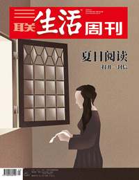 夏日阅读
