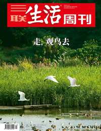 走，观鸟去