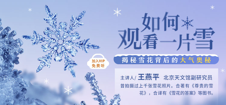 探索雪花IDC的世界：技术、服务与未来发展(寻找雪花)