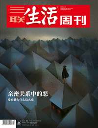 亲密关系中的恶