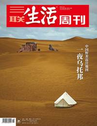 一夜乌托邦