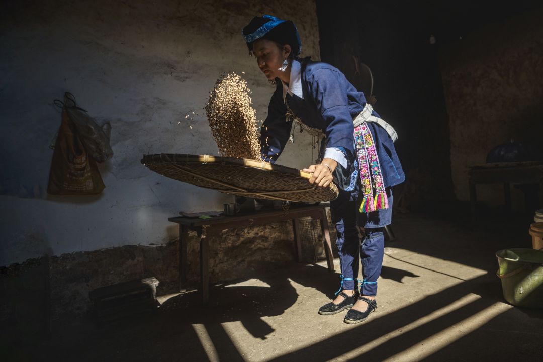 餐桌背后的种子蕴藏食物美味的秘密(图4)