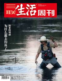 为什么都去钓鱼了？