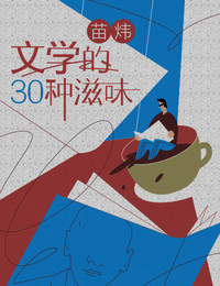苗炜·文学的30种滋味