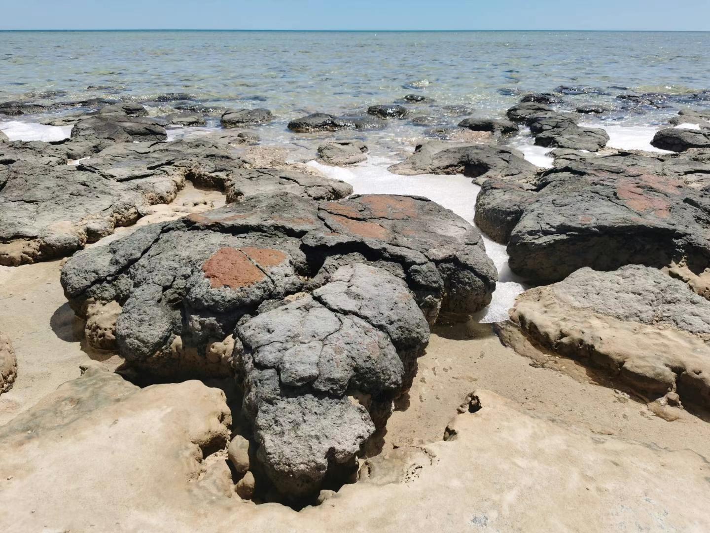 海域