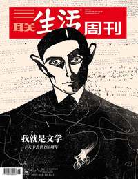 我就是文学