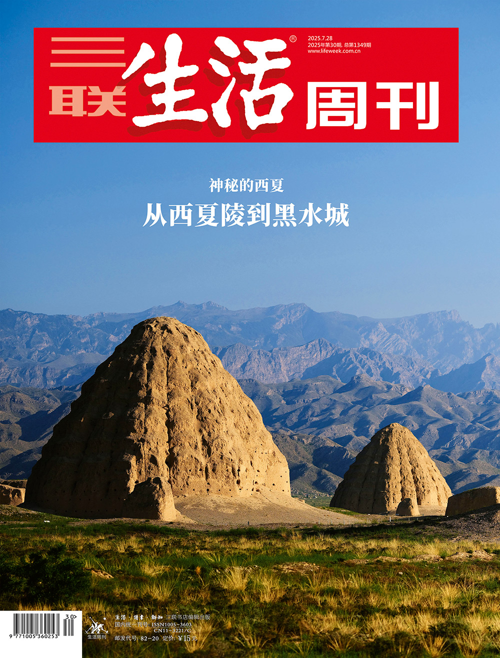 神秘的西夏：从西夏陵到黑水城