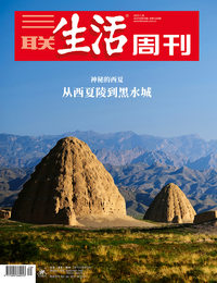 神秘的西夏：从西夏陵到黑水城