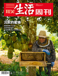 沉默的蜜蜂