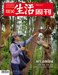 野生动物进城
